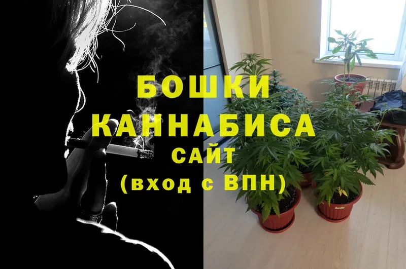 купить наркоту  Дорогобуж  МАРИХУАНА SATIVA & INDICA 